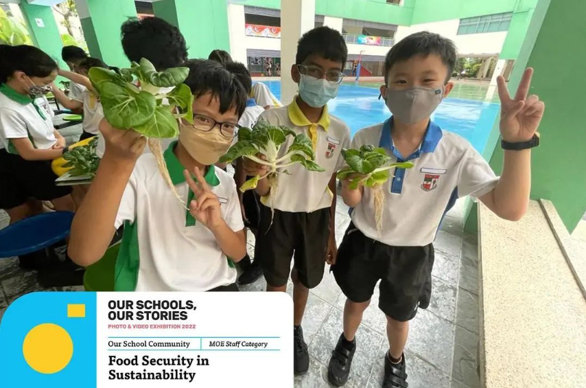 Three masked schoolboys hold freshly harvested leafy plants and flash peace signs at a school sustainability event.